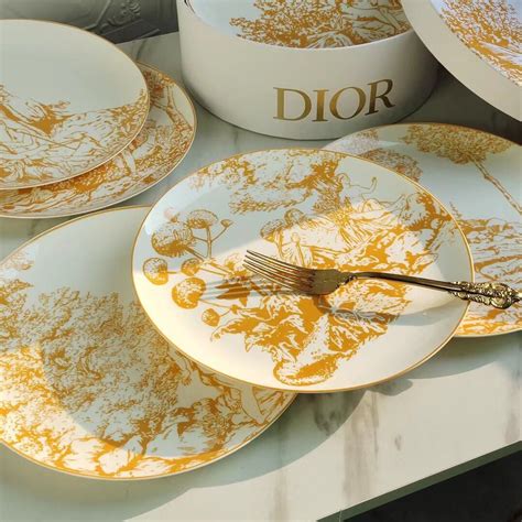 dior plates set